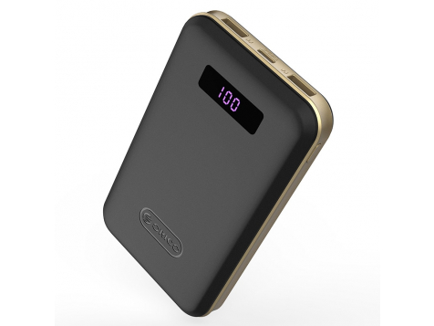 ORICO 12500mAh Type-C Polymer Power Bank фото 1