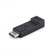 DisplayPort to HDMI Converter with Audio